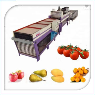 acheter Lavage orange de fruit d'avocat cirant la trieuse de séchage et évaluante online manufacture