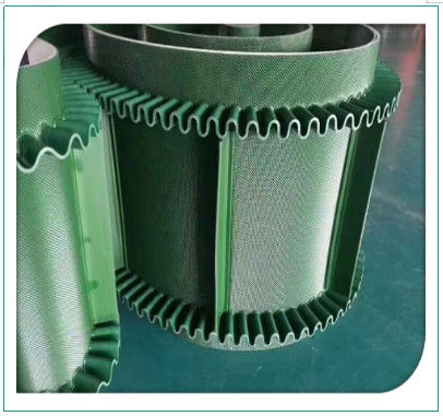 Couleur différente de la bande de convoyeur plat en PVC vert