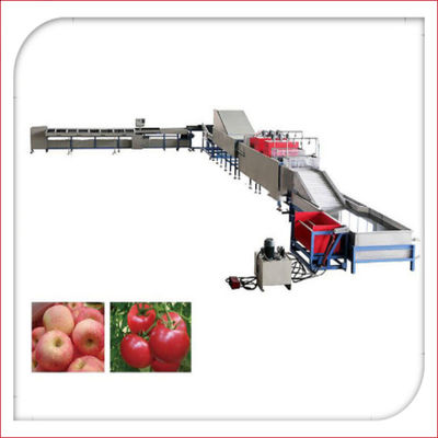 Lavage électronique automatique de fruit et machine 5MT/H de cirage