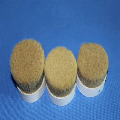 Doubles poils bouillis naturels pour la couleur pure de coutume de poil de verrat de pinceaux