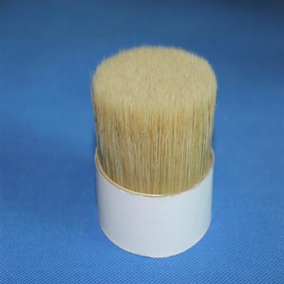 Le double blanc de Chungking bouilli se raidit pur sauvage de 76mm pour des pinceaux