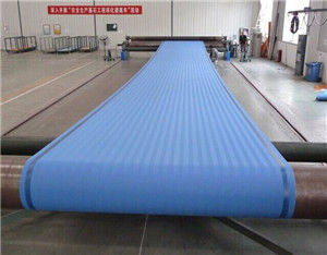 Ceinture 100% detatering de boue de polyester de professionnel pour l'asséchage de boue des eaux usées