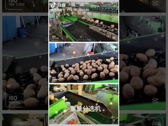 Nettoyage de fruit et machine de choix