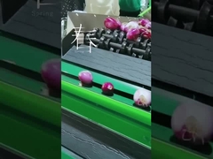 Nettoyage de fruit et machine de choix