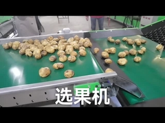 Adaptez la niveleuse aux besoins du client de légume fruit