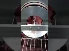 Bande de séparation d'arêtes de poisson PU, bande de séparation d'os, bande transporteuse