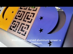 Veneur d'aluminium sculpté unique pour les projets architecturaux modernes